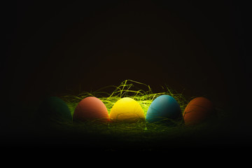 Row of five colorful pastel monophonic traditional painted Easter eggs in green grass on dark yellow background with black shadows, silhouette, light. Copy space for advertisement. With place for text