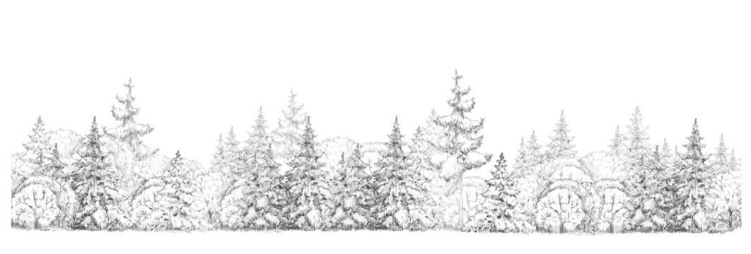 Winter  forest   drawing  in black and white, seamless element, isolated border.