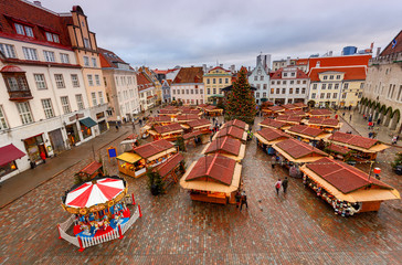 Tallinn. Christmas tree on the square.