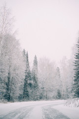 Obraz premium Country road leading among frosted trees