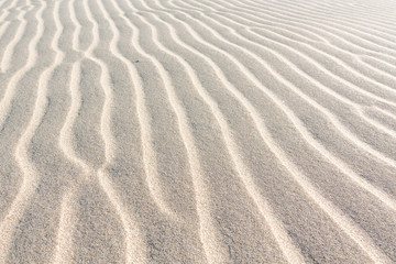 waves of sand in the desert on the sand dunes