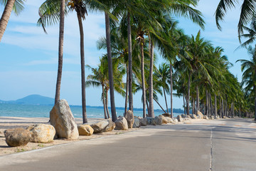 Concrete road with sea view, beautiful view, coconut trees, sandy beach and rocky view.