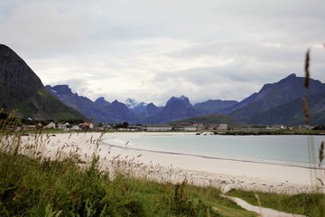 Lofoten beach