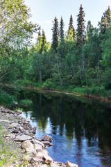 Fototapeta na wymiar Green forest and blue river, Finland