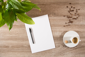 espresso on table with green plant, coffee beans and white blank paper and pen