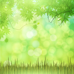 Fototapeta na wymiar Natural green background with vector grass.