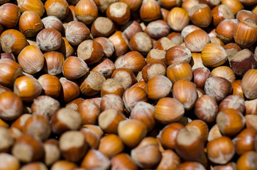 Hazelnuts on display in their shells