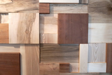 Wooden background and texture with different breeds. 
