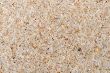 Flohsamenschalen Nahaufnahme