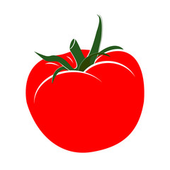 Tomato. Vector