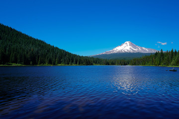 Fototapeta premium Trillium Lake at the base of Mount Hood in Oregon is a must see if your in the area.