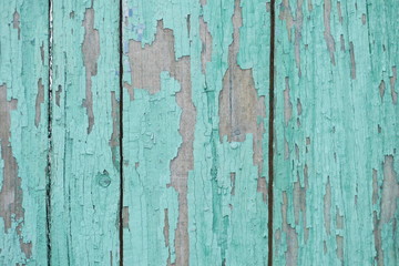 Obraz premium turquoise background from old boards