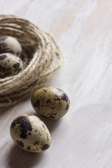 Quail eggs in a coffee cup and a bird nest with leaves on a white wooden background