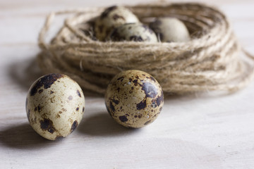Quail eggs in a coffee cup and a bird nest with leaves on a white wooden background