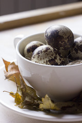 Quail eggs in a coffee cup and a bird nest with leaves on a white wooden background