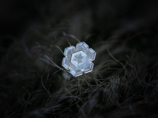 Real snowflake glowing on dark textured background. Macro photo of real snow crystal: small star...