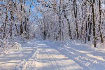 road in winter