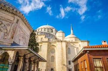 Obraz premium Suleymaniye mosque in Istanbul, Turkey