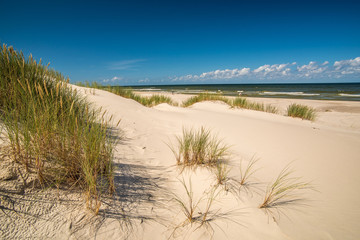 Fototapeta na wymiar Coast dunes beach sea, panorama
