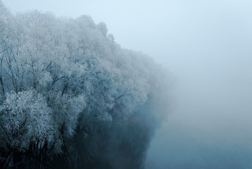 Trees in the fog covered with hoarfrost on a riverbank