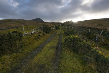 Naklejka premium A path leads into the mountains in Co. Galway, Ireland.