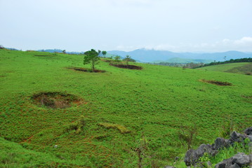Bomb craters from the Vietnam War surround giant megalithic stone urns at the Plain of Jars archaeological site in Loas. This area is the world's most heavily bombed place
