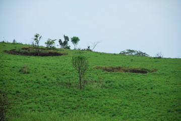 Bomb craters from the Vietnam War surround giant megalithic stone urns at the Plain of Jars archaeological site in Loas. This area is the world's most heavily bombed place