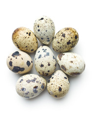 Fresh guail eggs.