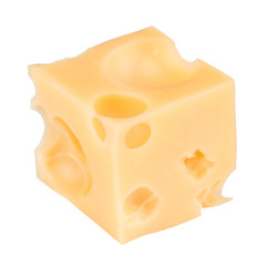 cheese cube slice isolated on a white background