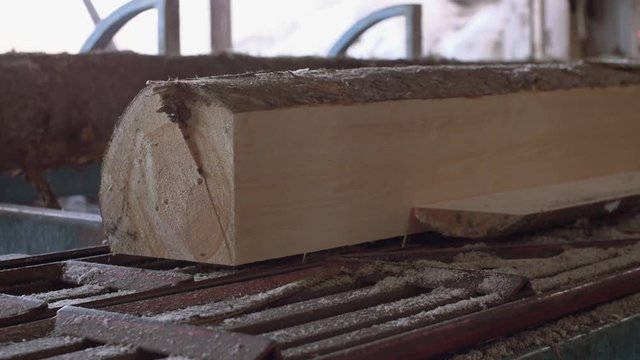 Lumber log riding on workbench at sawmill factory, sunny day outside, lots of sawdust, slow motion