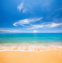 beach and beautiful tropical sea