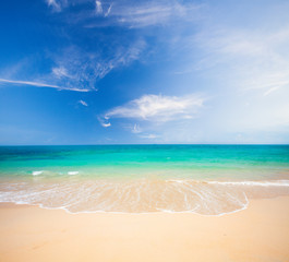 beach and beautiful tropical sea