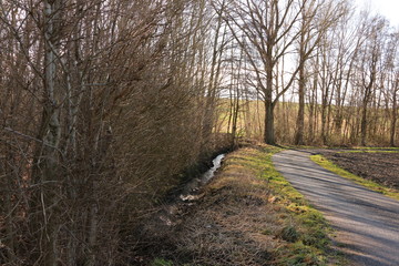 Feldweg, Bach, Bäume und Felder im Jagsttal in der Nähe von Dörzbach