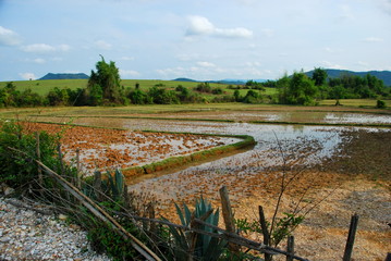 Rice paddy fields near the Plain of Jars archaeological site. The fields conceal a hidden danger from unexploded bombs from the Vietnam War which still kill and injure many to this day.