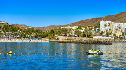 Anfi beach with palm trees and turquoise bay / Gran Canaria in Spain