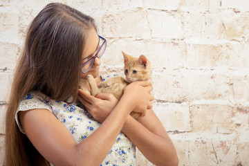 Girl with a favorite kitten. Young beautiful girl is holding a red kitten. Lovely portrait of a teenage girl with a small cat. Girl with long hair wearing glasses. funny cat
