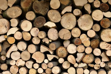 Möbelaufkleber Cut fresh wood for furnace heating © mackom