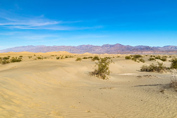 Desert in Arizona, US