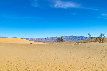 Fototapeta na wymiar Desert in Arizona, US