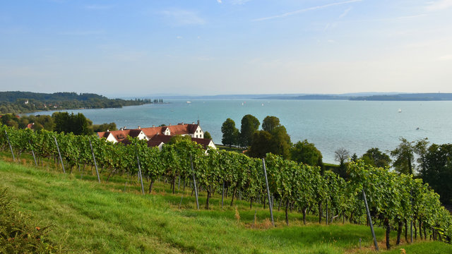 Birnau am Bodensee - Deutschland. Panorama mit Weing&auml;rten, See und Schloss Maurach