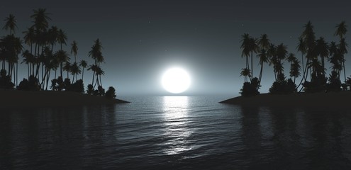 Fototapeta na wymiar Moon over a tropical island, panorama of a night landscape in the tropics with palm trees, water and the moon