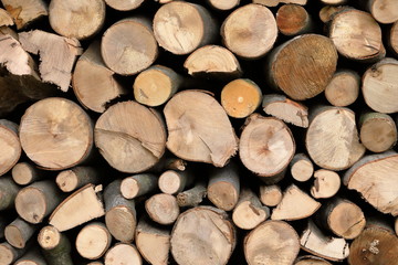 Firewood for autumn and winter