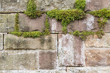 Feuchte Sandsteinwand