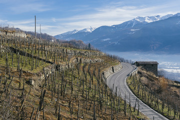 Fototapeta na wymiar Swerving roads in Valtellina, a valley near Sondrio in the Lombardy region of northern Italy, bordering Switzerland