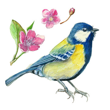 watercolor drawing seamless pattern on the theme of spring, heat, illustration of a bird of a troop of passerine-shaped large tits flying, with open wings, feathers, with yellow breast and blue plumag
