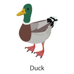 Duck icon, isometric style
