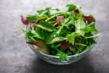 Fresh Green Mix Salad .Leaves Of Spinach,Arugula,Romaine,Lettuce.Concept of Healthy Food.Copy space for Text.Vegetarian. selective focus.