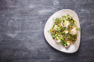Raw Sprouts Microgreens.Fresh Green  Salad with mozzarella,cheese.Concept of Healthy Food.Copy space for Text. selective focus.