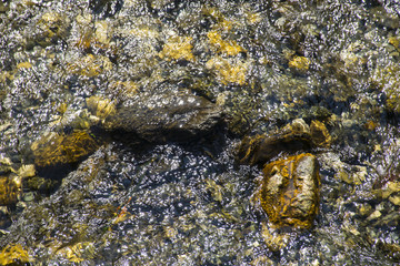 Water surface with rocks blurred