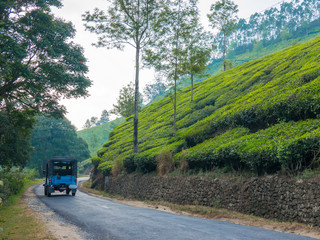 Fototapeta na wymiar An old jeep on a road through the tea plantations of Munnar, Kerala, India